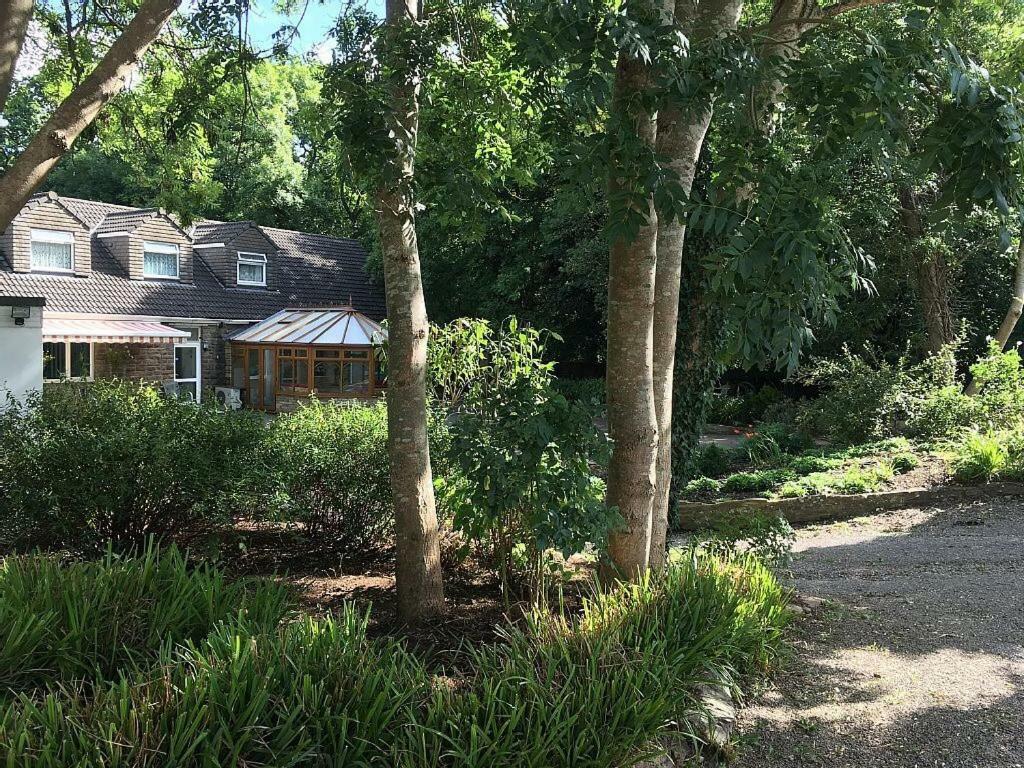 Bedrock Lodge Winterbourne Zewnętrze zdjęcie